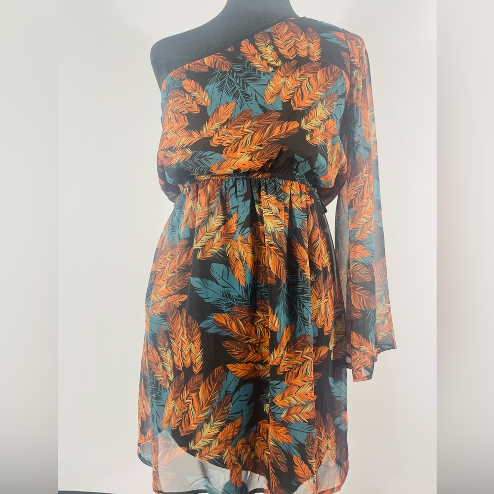 Francesca’s Small, multi fall colors, Black, feather, one shoulder sheer dress,